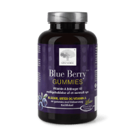 BLUE BERRY GUMMIES KUMMIKOMMID N60