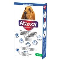 ATAXXA TÄPILAHUS KORTELE 2000MG/400MG SOL 4 ML N1