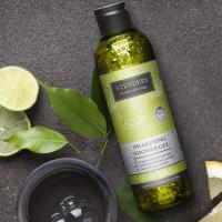 STENDERS DUSHIGEEL TURGUTAV 250ML