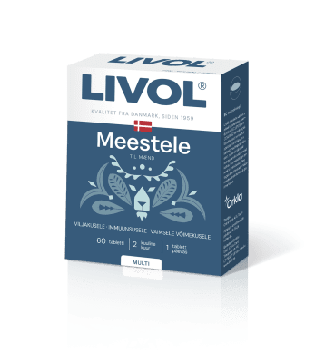 LIVOL MULTI MEESTELE TBL N60