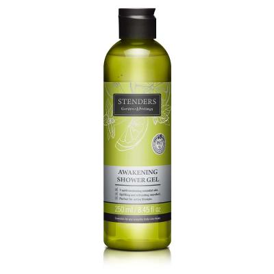 STENDERS DUSHIGEEL TURGUTAV 250ML