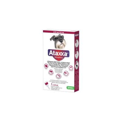 ATAXXA TÄPILAHUS 1250MG+250MG 2.5ML 2.5ML N1