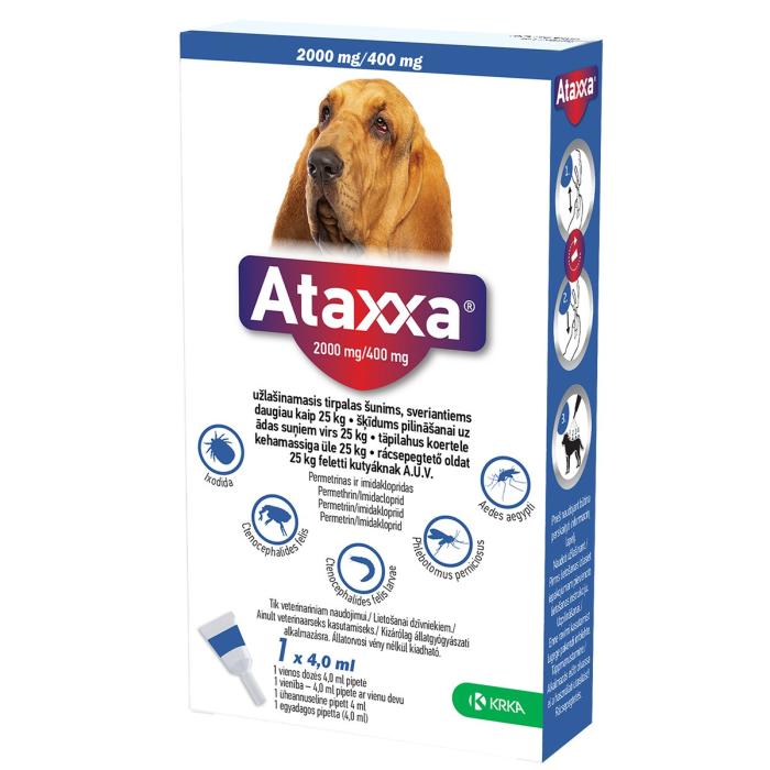 ATAXXA TÄPILAHUS KORTELE 2000MG/400MG SOL 4 ML N1