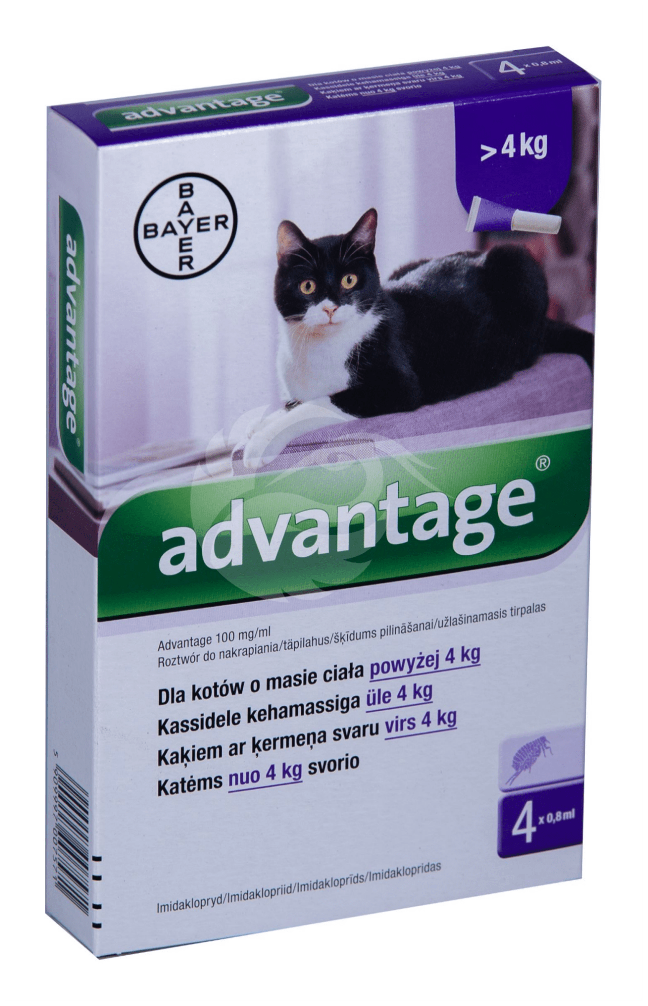 Advantage 80 for cats shop