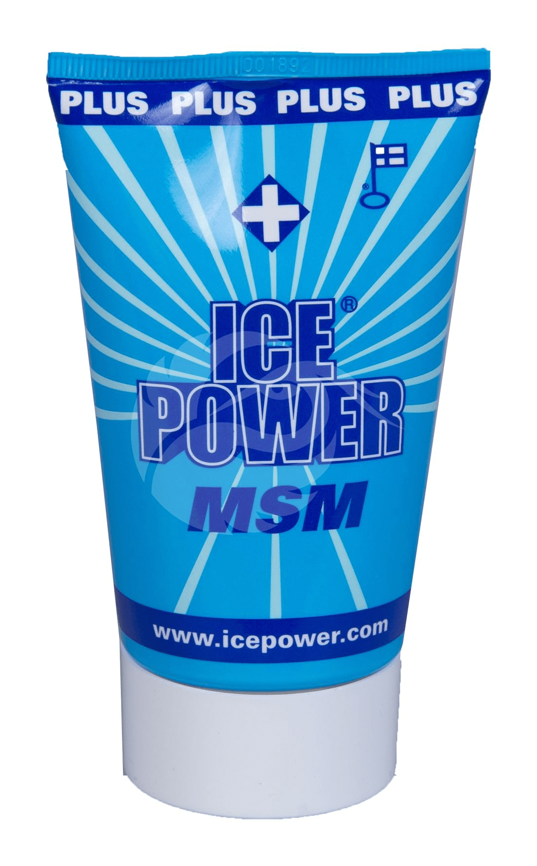 ICE POWER +MSM GEL 100 ML N1 (FYSIOLINE) | BENU Veebiapt