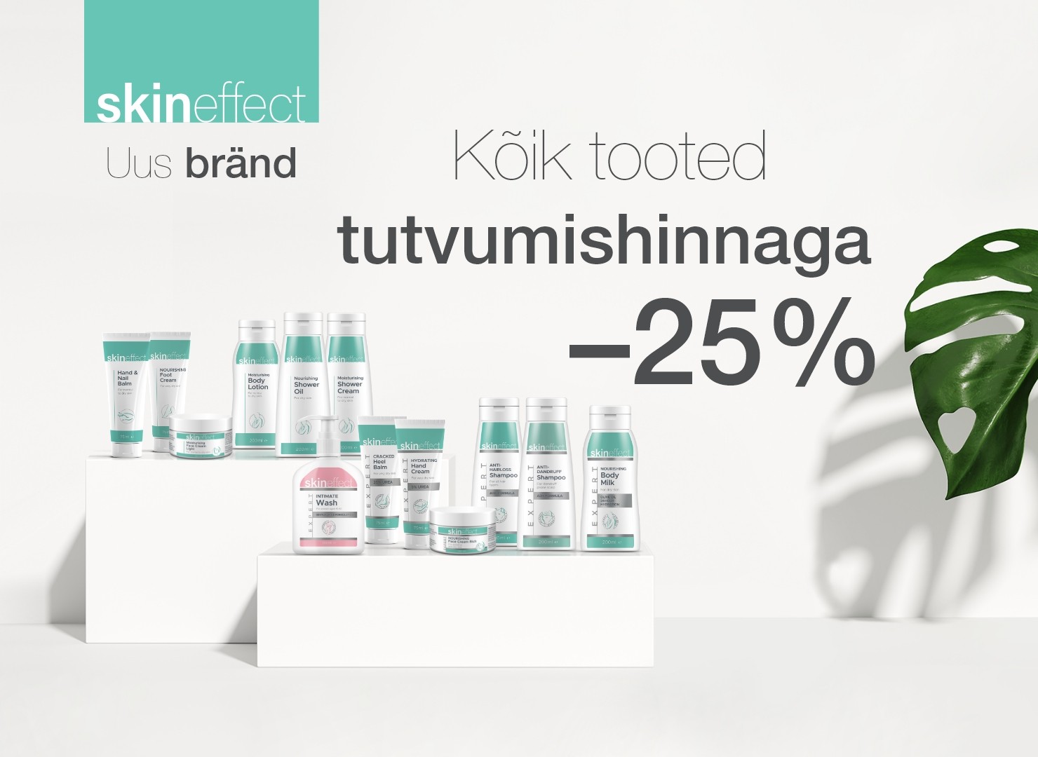 Selle kuu kampaaniad