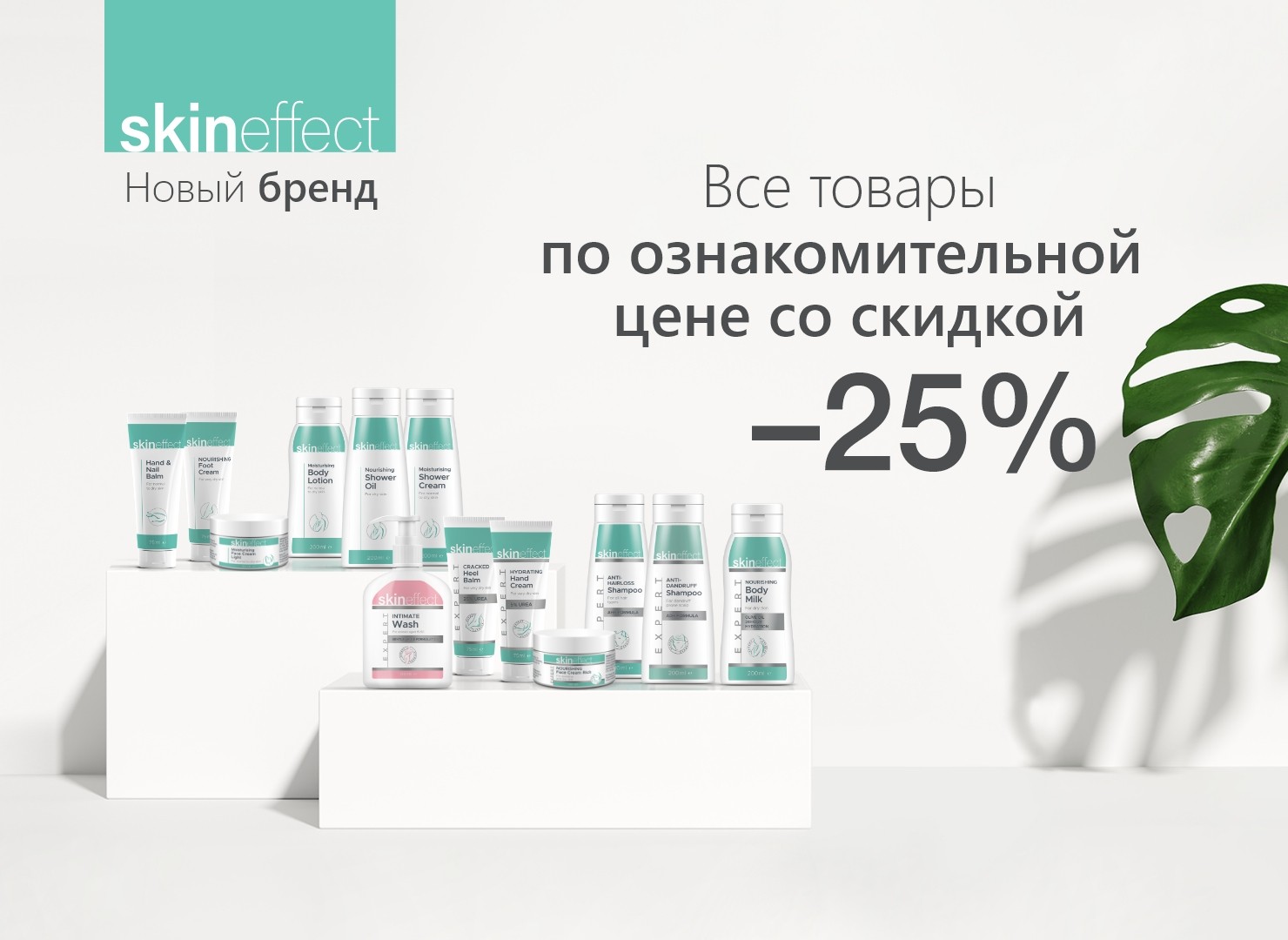 Предложения этого месяца